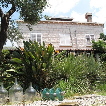 Guest House Maria Bilicic Dubrovnik Ngoại thất bức ảnh