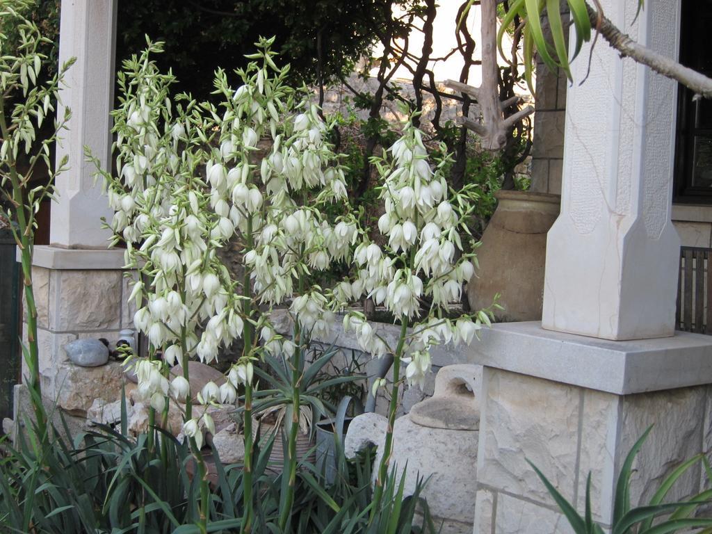 Guest House Maria Bilicic Dubrovnik Ngoại thất bức ảnh