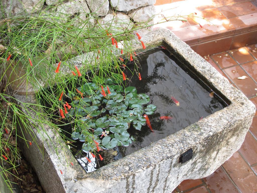 Guest House Maria Bilicic Dubrovnik Ngoại thất bức ảnh